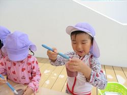 hikari008007_R.JPG
