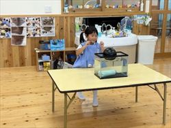 hikari012_R.jpg